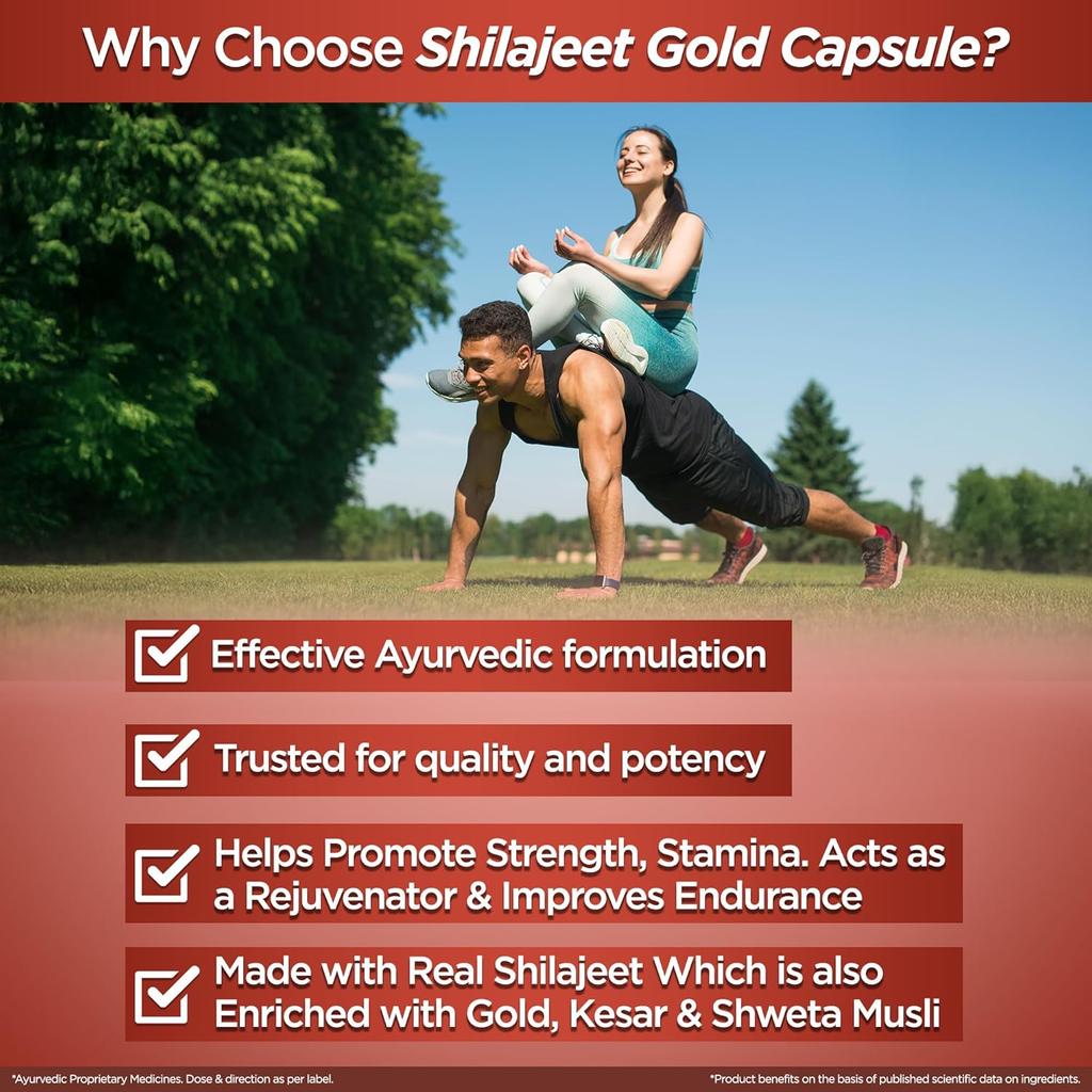 Multani Shilajeet Gold Ayurvedic Shilajit Capsules With Kesar Safed Musli For Vitality Stamina Wellness 10 Capsules 1 Pack