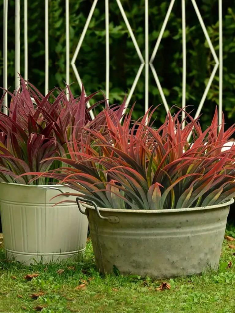 1 pack of 4pcs anti-ultraviolet artificial tall grass plant spider plant bouquet home decoration floral supplies