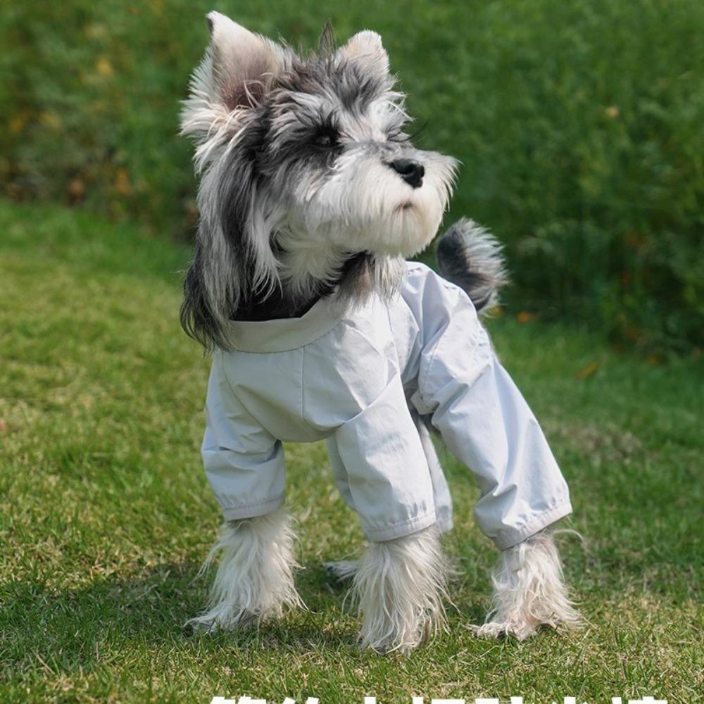 Pet summer anti-dirty four-legged pants thin go out rainy days waterproof leg guards dust pants clothes puppy breathable