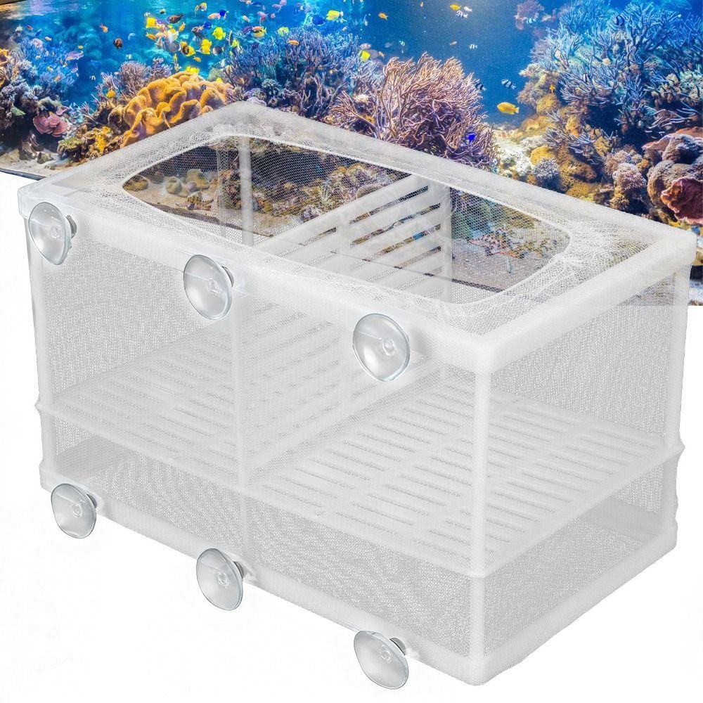 With Suction Cup Aquarium Fish Breeder Box With Partition White 3 Rooms Breeder Hatchery Large Size Nylon Mesh Isolation Box