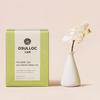 Osulloc Jeju Orchid Scented Green Tea – 10 Premium Tea Bags