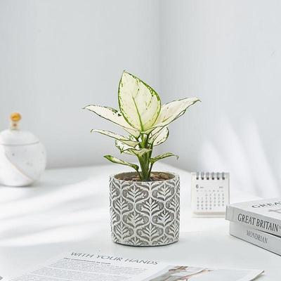 Decorazioni per la casa – Vasi di fiori decorativi