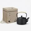 Qoexio Iron Teapot, Nanbu Ironware, Induction Compatible, Teapot with Tea Strainer, Iron Supplement, Can Be Cooked On an Open Fire, Traditional Craft,