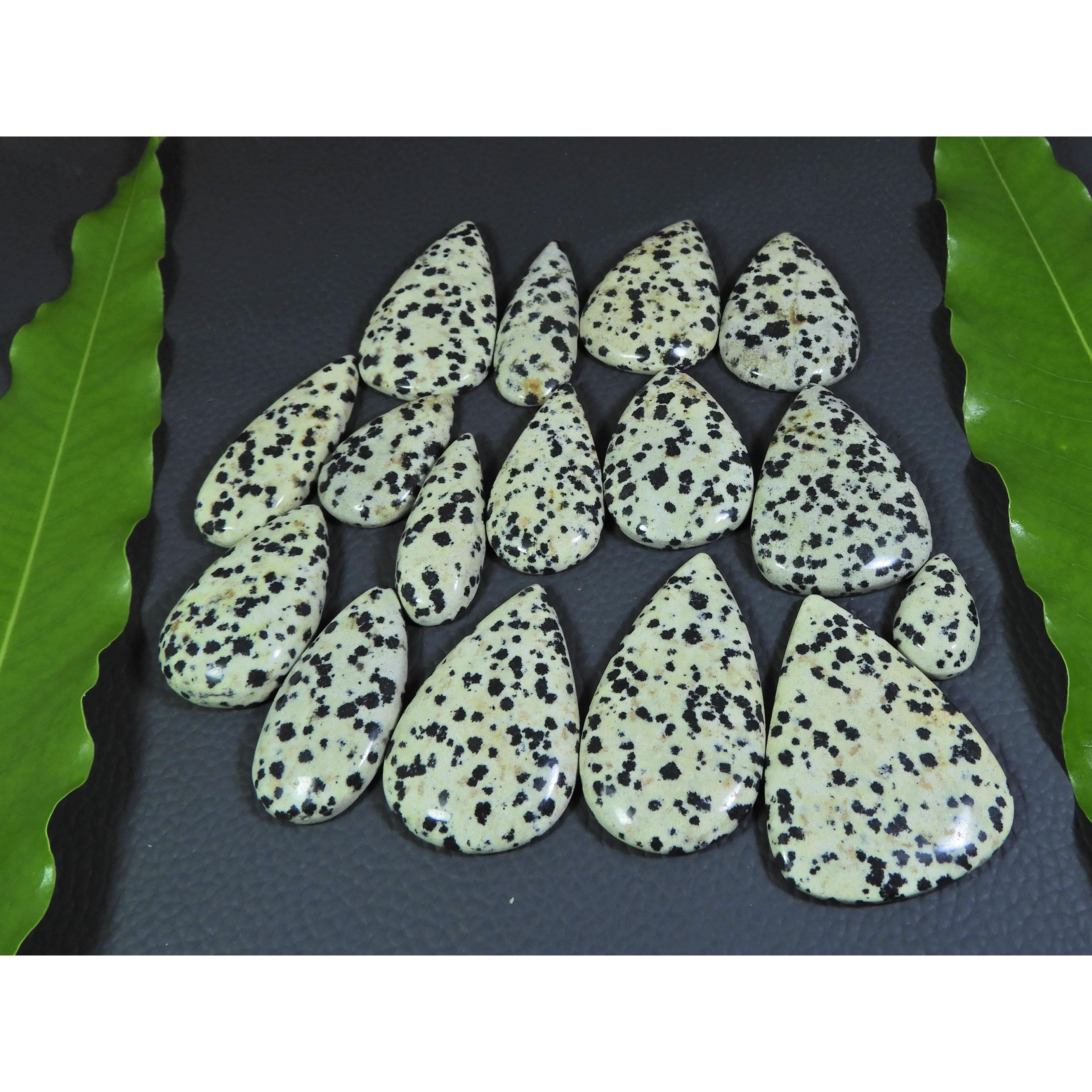 

506Cts. Natural Dalmation Jasper Pear Cabochon Loose Gemstone 16 Pcs Lot A-384