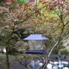 Vogelfutterspender mit Abflusslöchern, großes Fassungsvermögen, transparenter Kunststoff, zum Aufhängen von Wildvögeln im Freien, mit schrägem Dach für den Außenbereich, Gartenhof