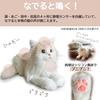 Wellfa Healing Cat Robot Nadenade Neko Chan Elegance RealiStic Appearance And S
