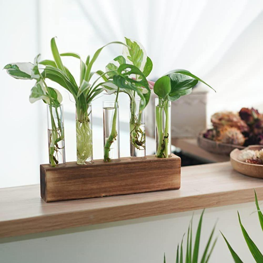 

Wooden Stand Test Tube Vases 3/4/5 Test Glass Tube Vases Garden Office Decor 3 Test