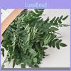 Embellishment Styphnolobium Japonicum Leaves For Wedding And Hotel Decor With Silk Material