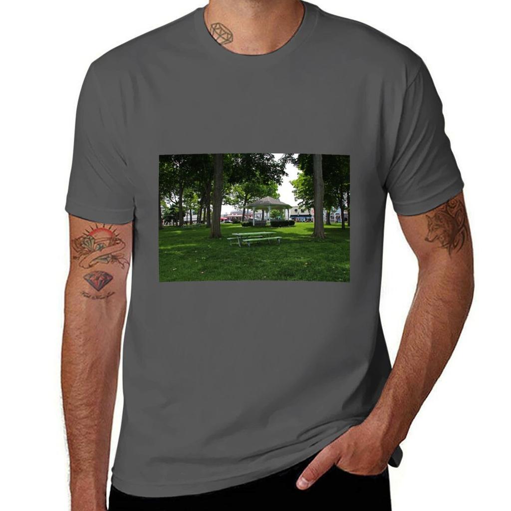 Derivera Park At Putinbay Tshirt Fashion Graphic Tee For Unisex