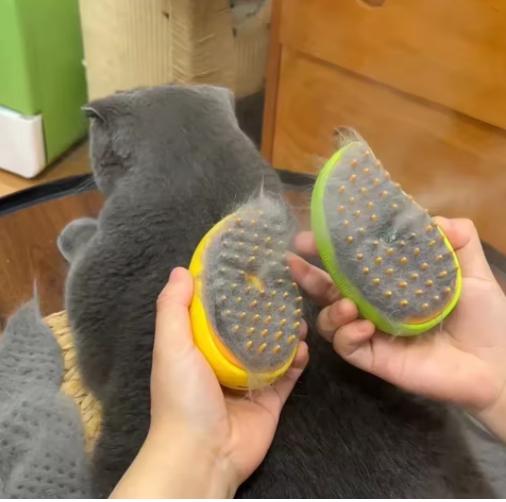 Chat chien brosse à vapeur brosse à vapeur pulvérisateur électrique pour Massage outil de toilettage pour animaux de compagnie perte 3 en 1 pulvérisateurs électriques peignes de Massage