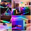 Tuya Smart RGBIC LED Neon Rope Light 10M  5M Dreamcolor WiFi/Bluetooth/Remote Control Flex Chasing Strip Tape 12V Dimmable