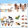 Adorable Montessori Simulation Solid Turtle Chick Frog Animal Growth Cycle Teaching Aids For Engaging Learning And Decorative Displays