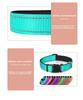 Hochreflektierendes Leichtes Haustier Hundehalsband Leine Set Benutzerdefiniert Verstellbar Stilvoll OEM Design Luxus Stil Kleine/Mittlere Rassen Kostenlos
