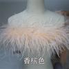 Ostrich Top Single Layer, Colorful Feather Wedding Dress Stage Decoration Diy Accessories Large Feather