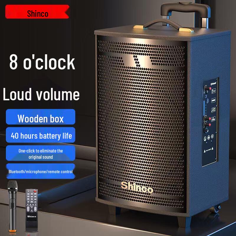 Shinco Portable Karaoke PA Speaker