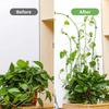 Invisible Plant Climbing Wall Fixture Clips 10/20/40/60Pcs PcsRattan Vine Bracket Fixed Buckle Leaf Clips Traction Holder Garden