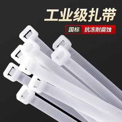 Changlu Nylon Cable Ties