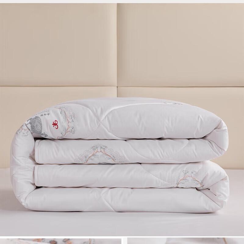 Hengyuanxiang Nuanxin Warm Wool Quilt