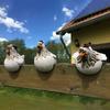 Realistic Rooster Sculpture, Chicken Ornament Wall Decor, Creative Yard Art for Garden Fence Decoration