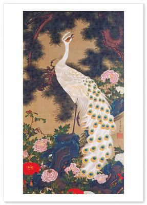 Poster: "Pinheiro Velho e Pavão" de Ito Jakuchu Tamanho A3 [Feito no Japão] [Papel de Parede para Interior] Papel de Parede Artístico Pintura Pôster
