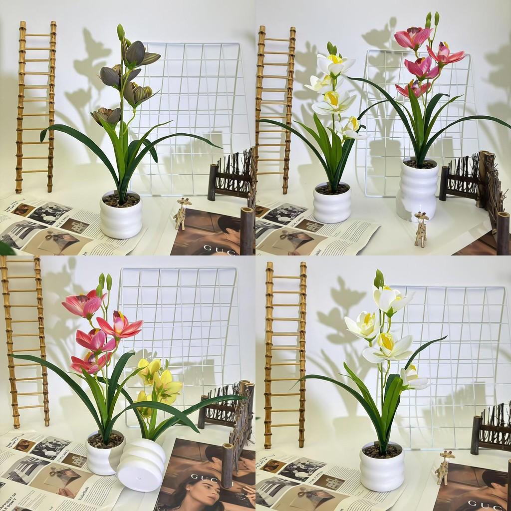 Simulation Cymbidium Faberi Rolfe Riverstones Bonsai For Photography Prop Use