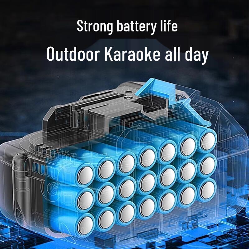 Soaiy K161 All-in-One Portable KTV Speaker System