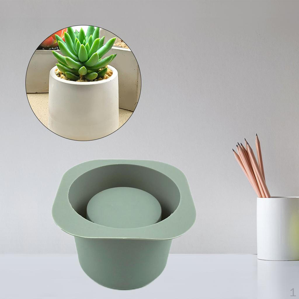 Комнатные растения Round