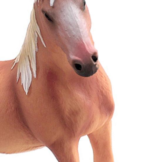 PVC Simulation Horse Figurine Realistic Stallion Mare Collectible Model Miniature Animal Educational Toy Decoration Ornament Horse Lover Gift