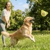 Cartoon Quietsche Hundespielzeug Gummi Interaktives Haustierspielzeug Haustierbedarf Hund Geräusch Kauspielzeug Indoor