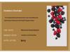 Coconut Shell Scented Candle Gift Box - Creative Bedroom Fragrance Souvenir
