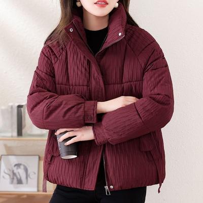 Veste d'hiver tendance pour femme en duvet et coton à col montant, chaude, coupe-vent, coupe ample