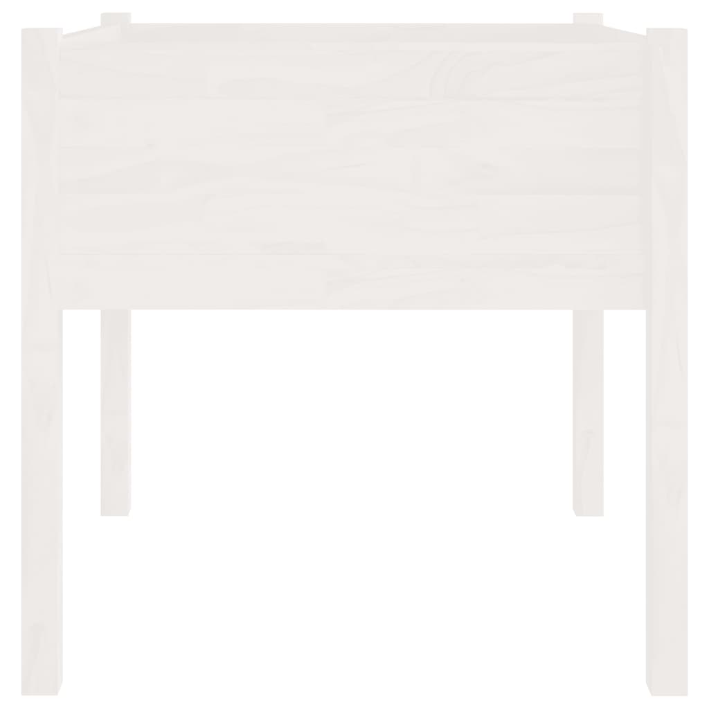 Planter Box White 70x70x70 Cm Solid Pine Wood