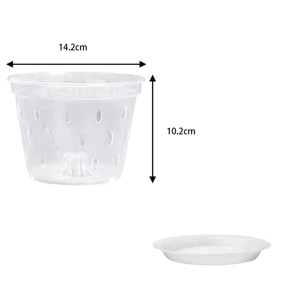 Fruit Orchid Pots Garden Growing Home Decor Plant Plastic