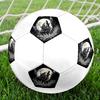 Futebol – Bolas de futebol