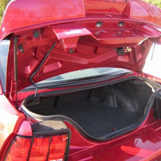 2x Rear Hatch Tailgate Gas Shock Struts Lift Support For Ford Mustang 1999-04