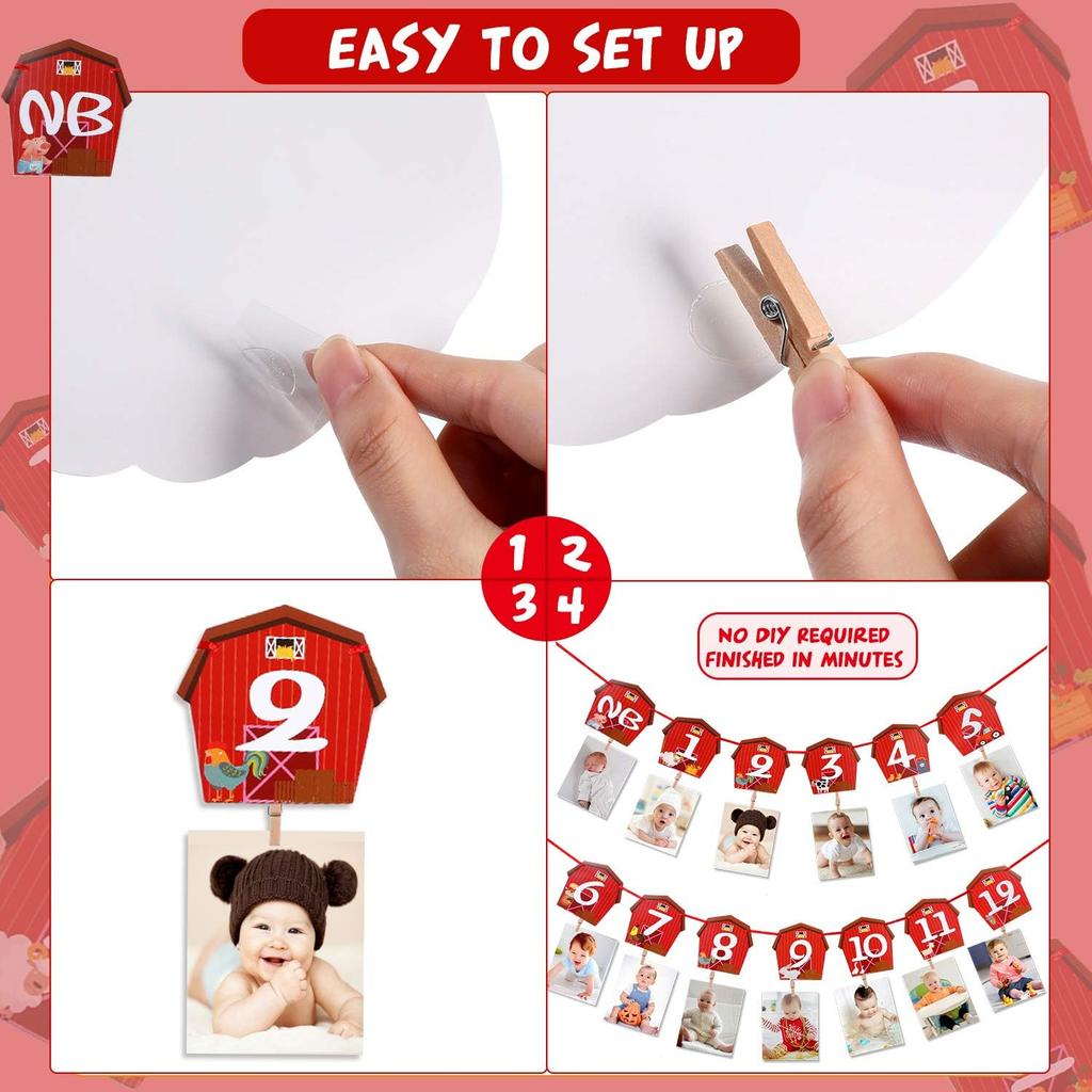 Farm Animal Theme Photo Banner 1st Birthday Monthly Banner Newborn To 12 Month Photo Display Milestone Photograph for Barnyard First Birthday Party