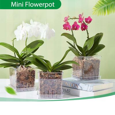 Mini Transparent Flowerpot Phalaenopsis Succulents Breathable Vase with Tray Plastic Seeding Nursery Pot for Home Window Decors