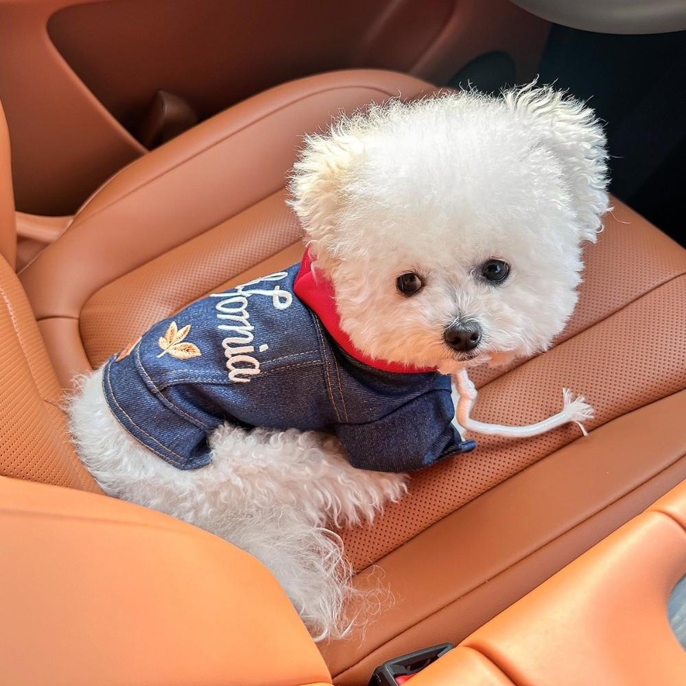 Comfortable Dog Jean Jacket Windproof Dog Coats Fashion Pet Denim Hoodie Daily Wear