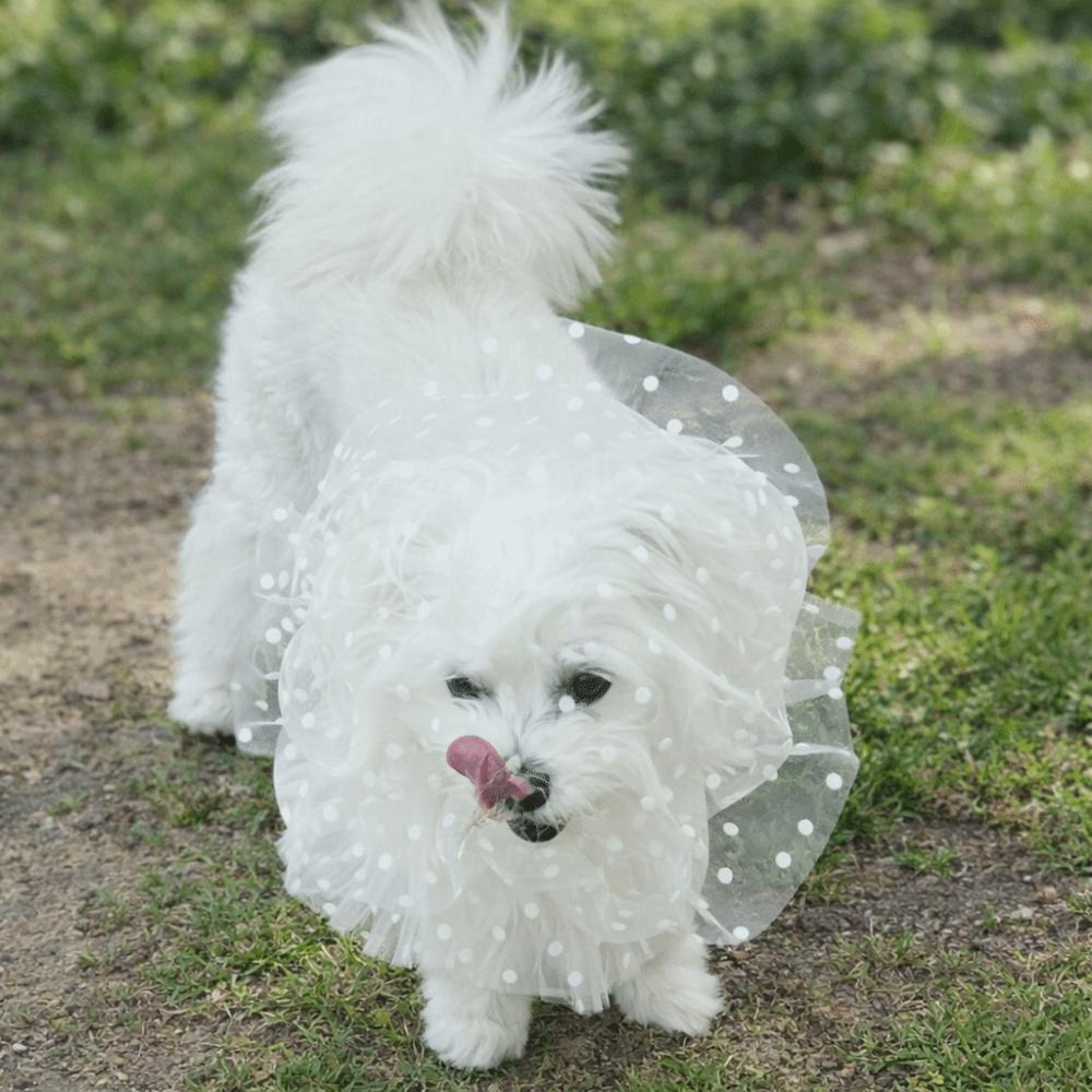 Mesh Pet Anti-Mosquito Headgear Breathable Adjustable Dog Anti Licking Headgear Love/Wave Point Pattern Dog Protective Mask