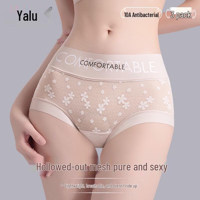 Yalu Women's Lace Mesh Breathable Antibacterial Briefs (3-Pack)
