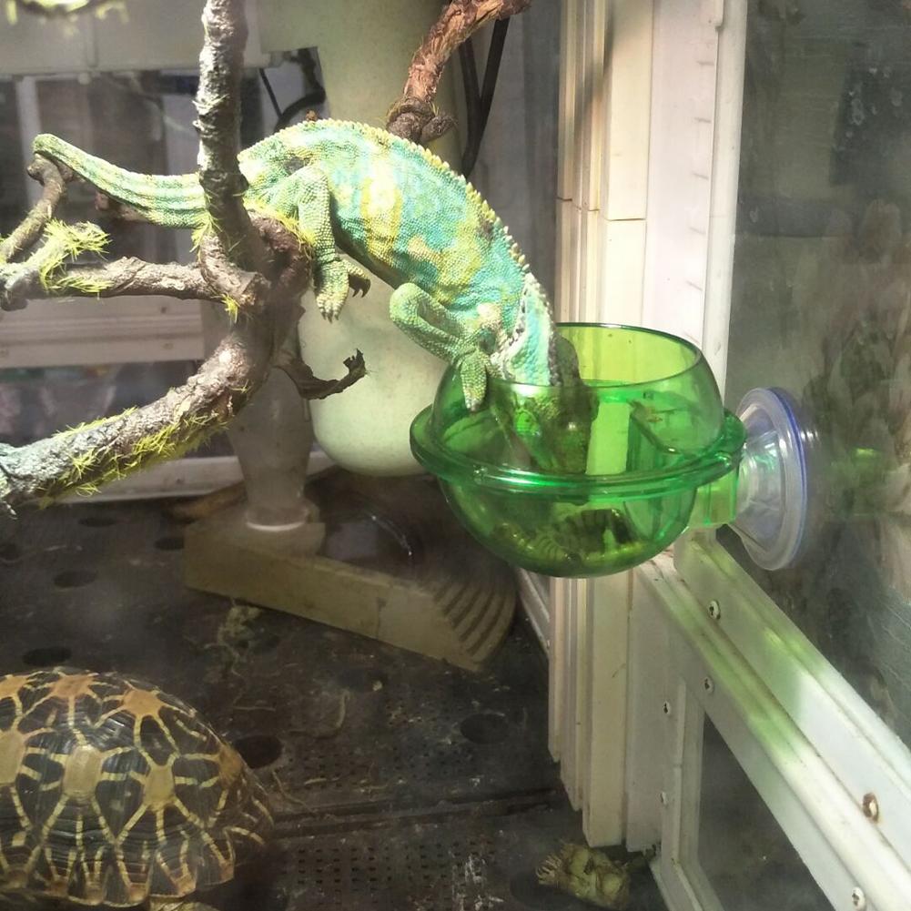ABS Suction Cup Reptile Feeder Chameleon Feeding Food Bowl Escape Proof Worm Dish For Chameleon Iguana Lizard Reptile