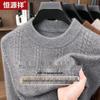 Hengyuanxiang Men's 10A Antibacterial 100% Wool Thick Sweater