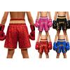 Shorts de Boxe Kickboxing pour Enfants Dragon Impression Métallique Ceinture Élastique Maillot de Bain pour Entraînement Arts Martiaux Compétition