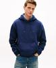 Flag Logo Hoodie (T12G1Tpo550Mt1Dcc)