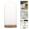 Elegant Glass Dome Cover for Display DIY Keepsakes and Home Decoration Transparent Dustproof Design Stable Base