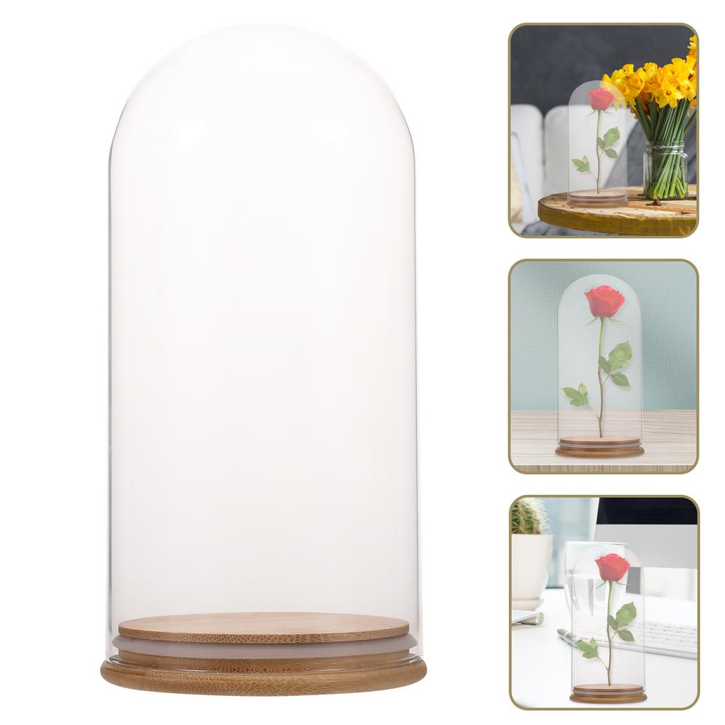 Elegant Glass Dome Cover for Display DIY Keepsakes and Home Decoration Transparent Dustproof Design Stable Base