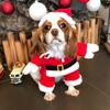 Kedi Köpek Noel Cosplay Kostümleri Küçük Orta Boy Köpekler Kediler Komik Parti Yaratıcı Yenilik Yavru Köpek Yavrusu Giysileri Yorkies Evcil Hayvan Mont