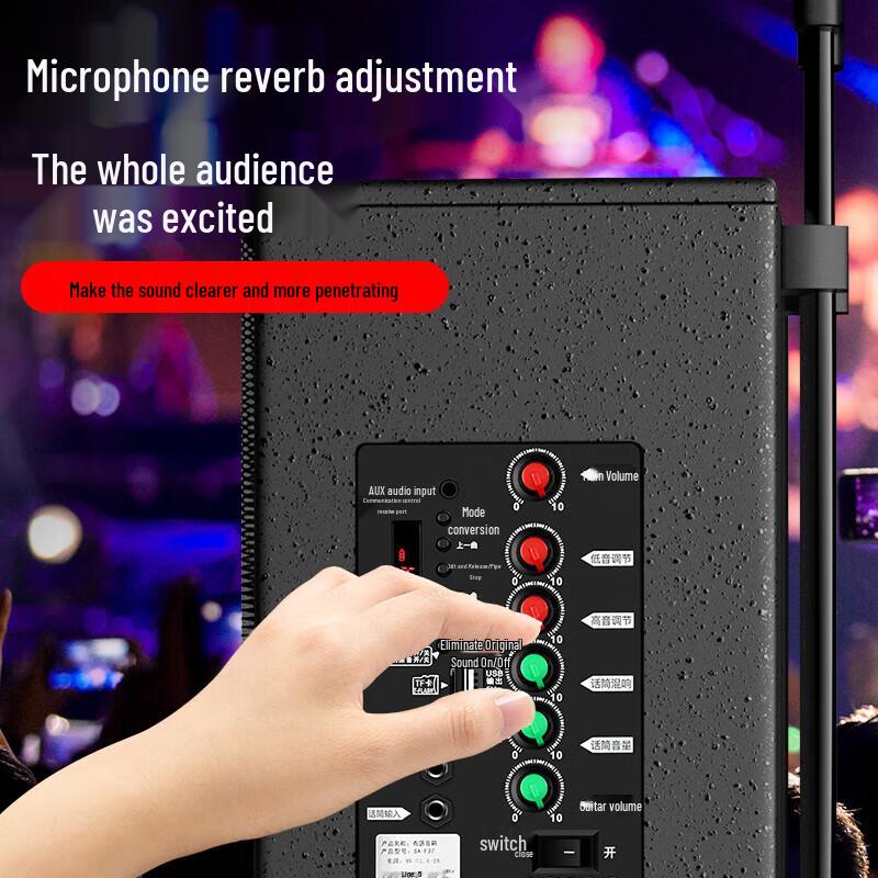 Soyang 8-Inch Wooden Portable Outdoor Karaoke Speaker