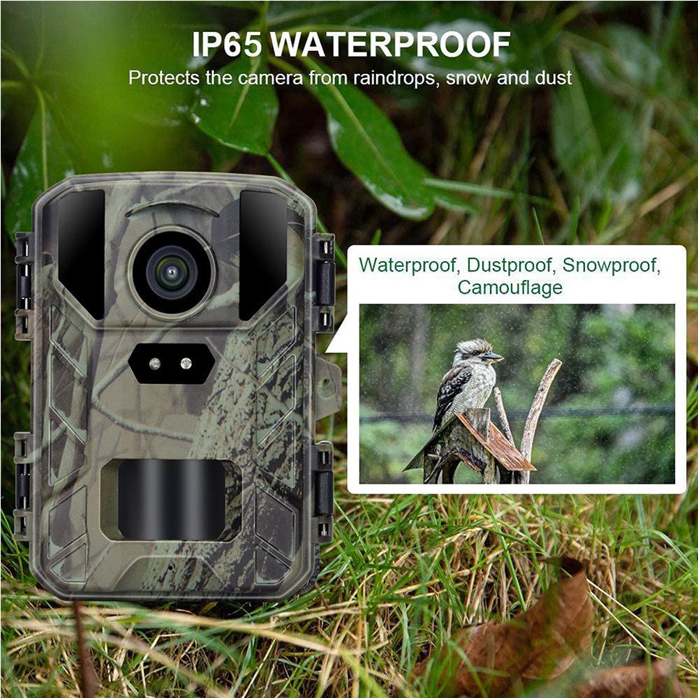 Suntekcam Mini800 Trail Camera, 50MP 4K, IP65 Waterproof