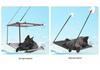 Cross-Border Suction Cup Cat Hammock: Breathable Hanging Pet Bed